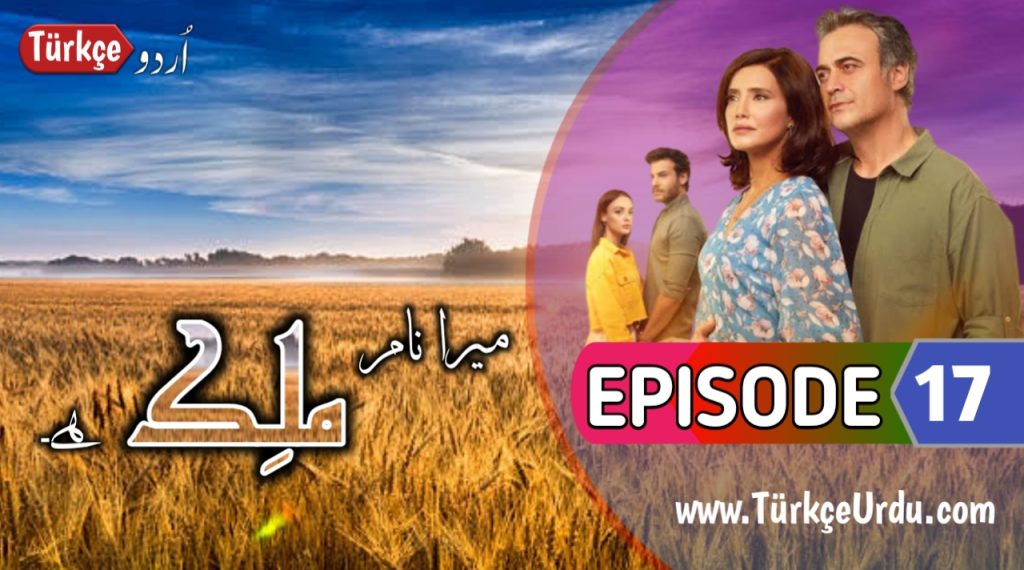 Malek Episode 17 urdu subtitles