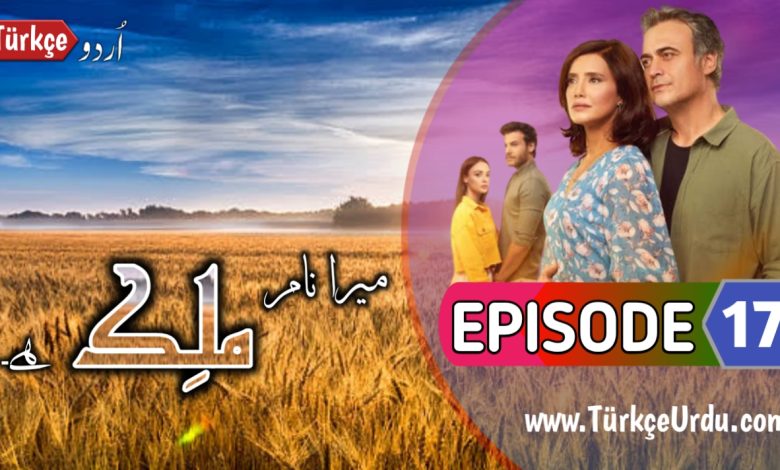Malek Episode 17 urdu subtitles